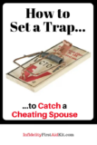 Set a Trap to Catch a Cheater in Their Lies